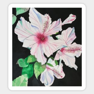 Pink hibiscus watercolour painting Sticker